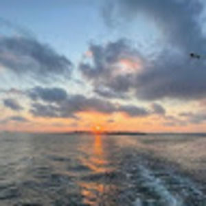 Meet your Posher, Amelia